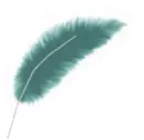 feather