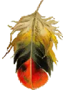 feather