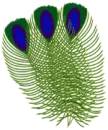 feather