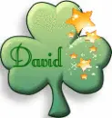 CLOVER WITH STARS WITH NAME DAVID