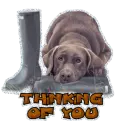 Thinking of you