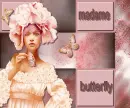 madame butterfly