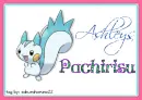 Ashley's Pachirisu