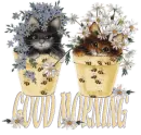 good morning