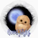 good night