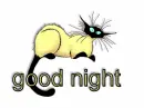 good night