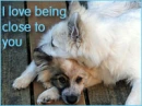I Love Being Close to You