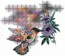 humming bird