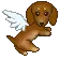dachshund dog