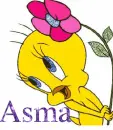Tweety cartoon name Asma