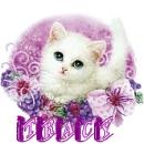 cat- tracy
