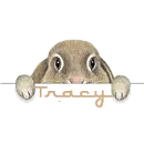 rabbit-tracy