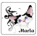Kitty Blinks - Marla