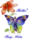 Butterfly Hello - Rita
