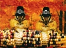 Harvest Feast