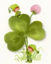 St Patrick's day