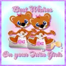 congrats  twin girls