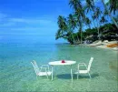 tropical beach