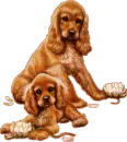 Dogs