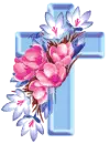 Blue Cross