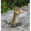 squirrely!!!!!