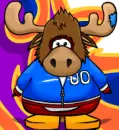 Club Penguin Moose