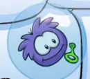 Club penguin puffle!