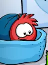 Club penguin puffle!