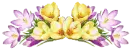 Flower Bouquet