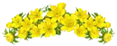 Flower Bouquet