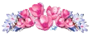 Flower Bouquet