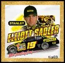 elliott sadler
