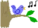 singing bird