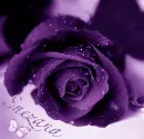 Snezana