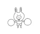 cute pig