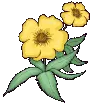 Yellow Flowers