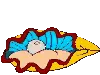 Sea Shell