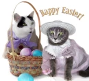 Happy Easter