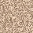 Tan Background