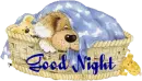 Good Night