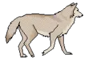 Walking Wolf
