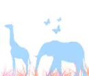 elephants, giraffes 