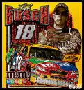 kyle busch