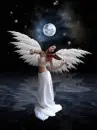 moon angel