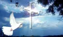 DOVE & CROSS