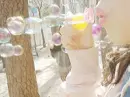 bubbles