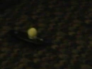 egg yolk