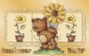 sunflower bear