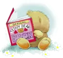 teddy bear book