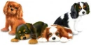 PUPPYS